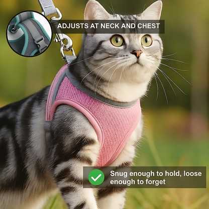 Explorer Harness | Less boredom. More discovery. A better life for your indoor cat.